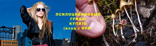 сатива Алексеевка