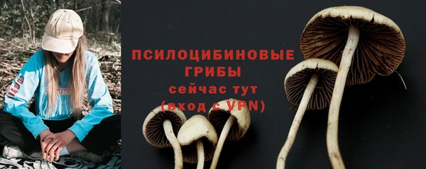 трава Алзамай