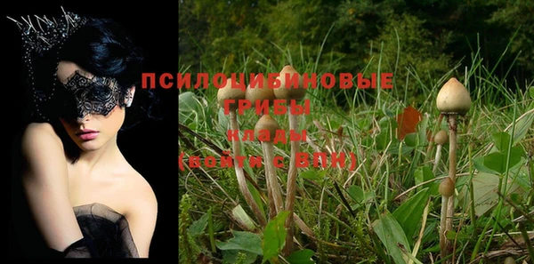 сатива Алексеевка